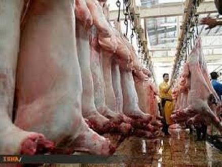 واردات گوشت روسی در هاله‌ای از ابهام/ رئیس اتحادیه گوشت گاوی: بی‌خبرم!