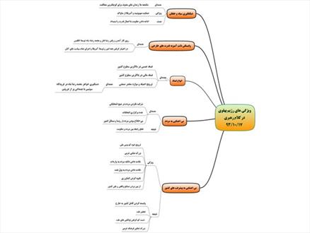 ویژگی های رژیم پهلوی در کلام رهبری+ نمودار درختی