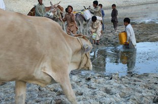 ادامه زندگی و رفع تشنگی با آب معدنی/68 درصد روستاهای تلنگ با تانکر آبرسانی سیار می‌شوند