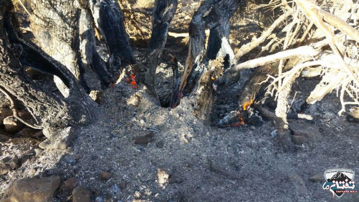 آتش سوزي 100 هكتار از پوشش گیاهی ارتفاعات تفتان از نگاه لنز دوربين