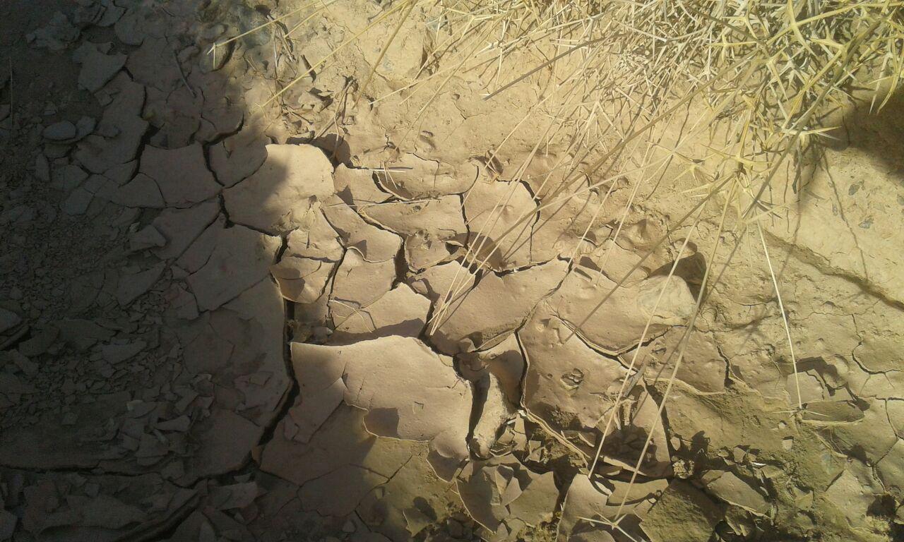 گزارش تصويري/ تیغ خشکسالی بر گردن روستاهاي جنوب شرق كشور