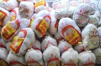 توزیع بیش از2هزارتن مرغ منجمد تنظیم بازار در سیستان‌وبلوچستان