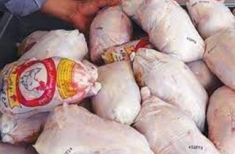 توزیع مرغ منجمد تنظیم بازار در سیستان و بلوچستان تداوم دارد