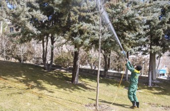 عملیات سمپاشی درختان در سطح شهرستان خاش
