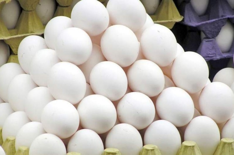 ‏۱۳۴۹‏‎ ‎تن تخم مرغ در سیستان و بلوچستان تولید شد