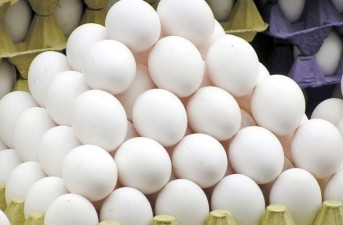 ‏۱۳۴۹‏‎ ‎تن تخم مرغ در سیستان و بلوچستان تولید شد