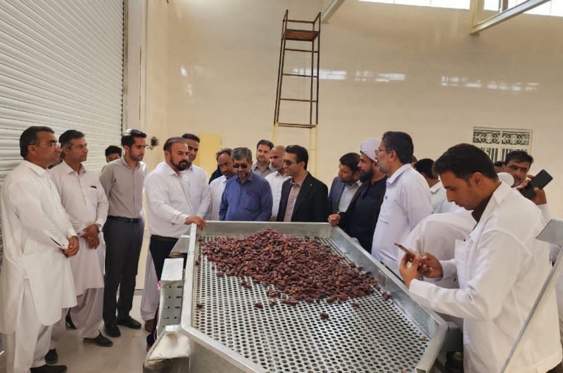 افتتاح اولین کارخانه بسته بندی خرما در شهرستان بمپور