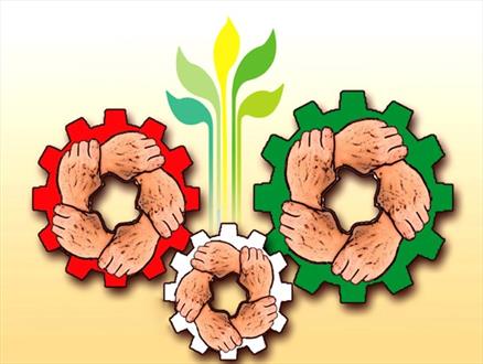 شباهت های سرخس و آلمریای اسپانیا