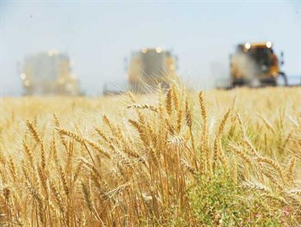 کالاهای استراتژیک کشاورزی پاشنه آشیل کشور/ مسیر تحریم ایران تغییر می کند