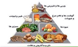 زندگی امروزی با بدن ما چه می‌کند؟