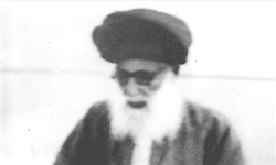 تصاویر نادیده از علامه امین