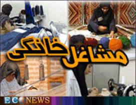 سيستان و بلوچستان بستر مناسبی برای رشد مشاغل خانگی دارد 