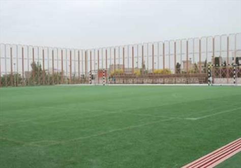 سه چمن مصنوعی در شهر خاش ایجاد کرد/ میدان بسيار زيباي ابوعلی سینا با المان دستگاه فشار خون در خاش نصب شد 