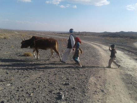 روستای شوگه خاش محلی برای تولید و اشتغال؛ اما محروم از خدمات دولت/  مسئولان صدای کودکان اين روستا  را نمی‌شنوند