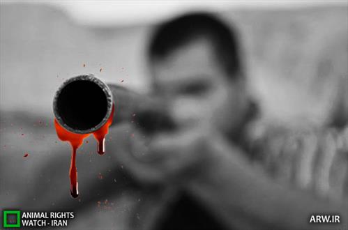 قتل با اسلحه "برنو" در خاش/ دستگيري قاتل در کمتر از دو ساعت 