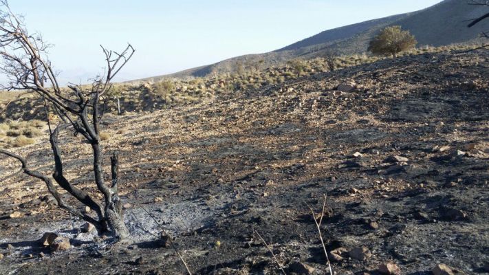 آتش سوزي 100 هكتار از پوشش گیاهی ارتفاعات تفتان از نگاه لنز دوربين