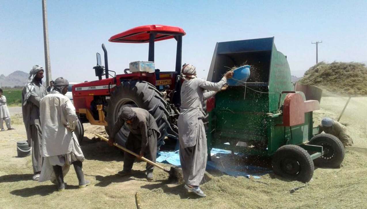 گزارش تصويري/ مراحل کاشت و برداشت مکانیزه یونجه از سطح ۳ هزار هكتار اراضي خاش