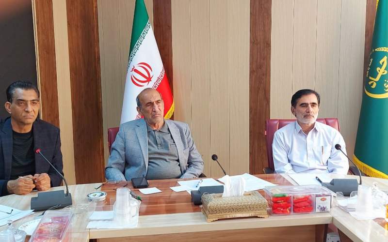 بیش از ۱۵ هزار تن انواع کود بین کشاورزان سیستان وبلوچستان توزیع شده است