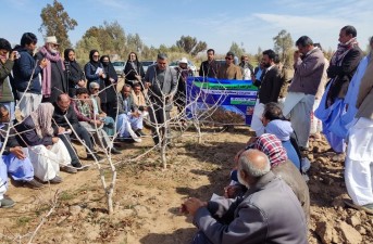 برگزاری کارگاه یک روزه آموزشی ترویجی، مدیریت بهنگام پسته