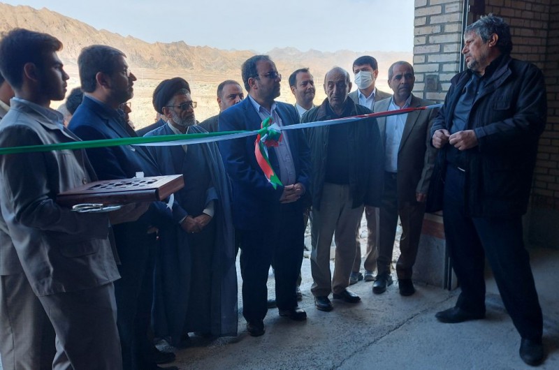 ضریب خوداتکایی سیستان وبلوچستان به گوشت مرغ به حدود ۸۰ درصد رسید