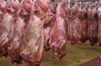 عرضه انبوه دام در بازار طی هفته‌های آتی