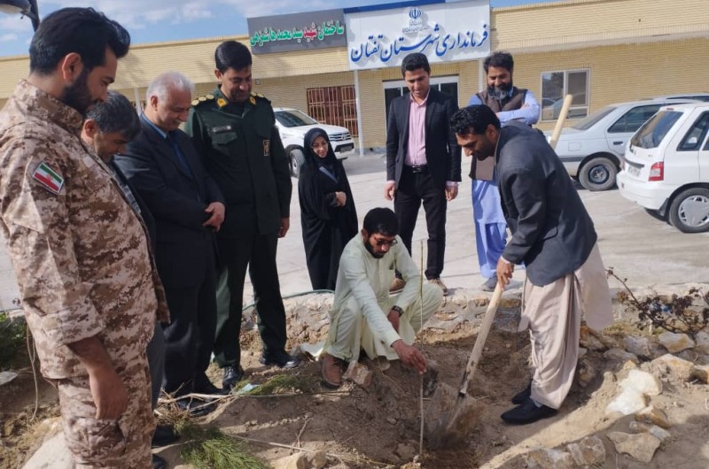 روز درخت کاری شهرستان تفتان بخش مرکزی /حضور فرماندار شهرستان تفتان در مراسم روز درختکاری