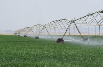 تجهیز حدود یک هزار ۲۵۰ هکتار از اراضی سیستان و بلوچستان به سیستم های آبیاری نوین