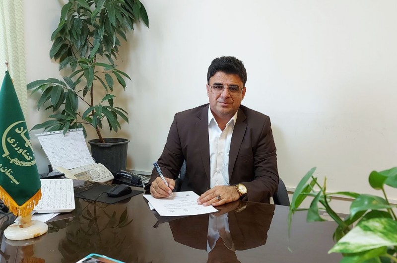 ۳۶۰۰ تن گوشت مرغ در شهرستان خاش تولید شد