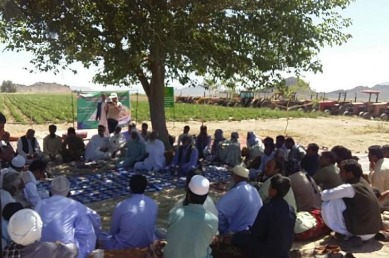 اجرای ۱۰ کاروان ترویجی بهره‌وری الگوی کشت در سیستان و بلوچستان