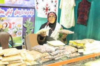 کارآفرینی و تولید بهترین راه استقلال مالی در بین جوانان و بانوان