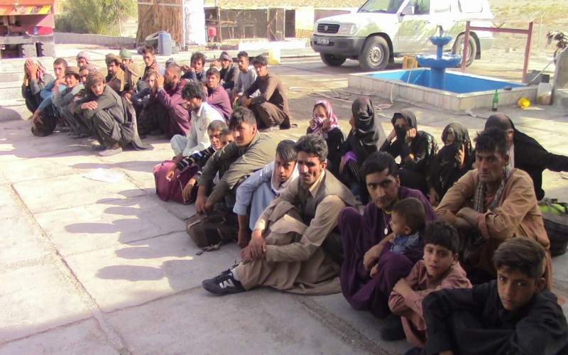 دستگیری ۶۸۸ نفر از اتباع غیرمجاز در هامون