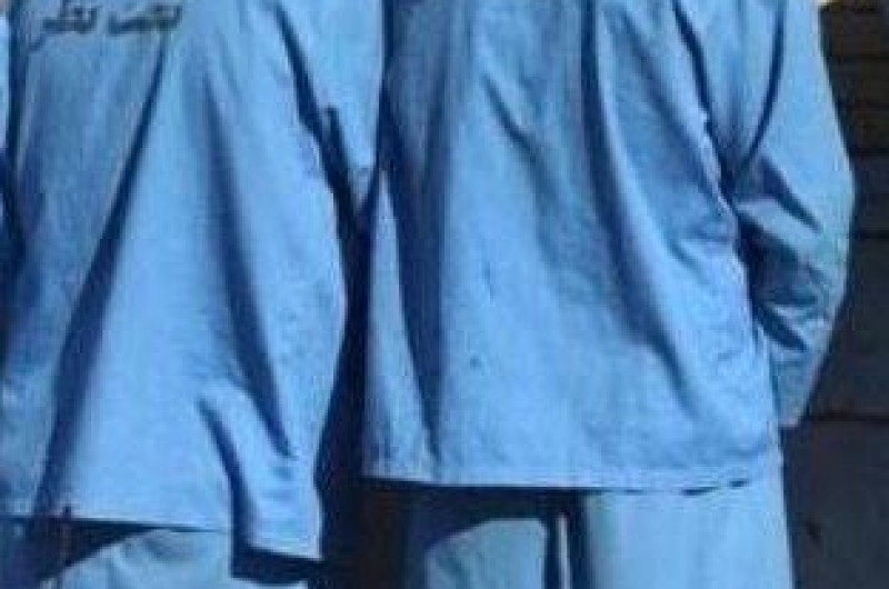 دستگیری سارقان احشام در خاش