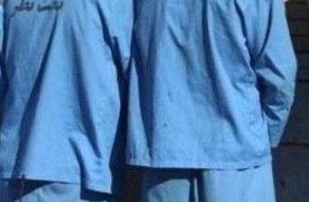 دستگیری سارقان احشام در خاش