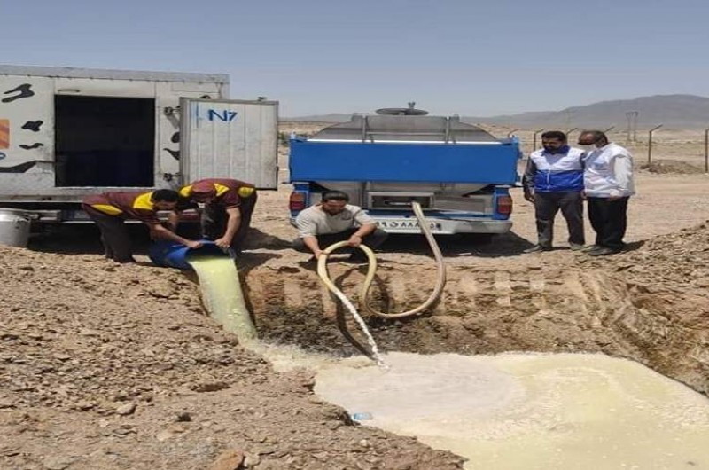جلوگیری از ورود شیر ناسالم به زاهدان
