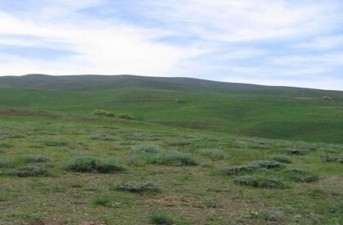 ۹۰ درصد مراتع سیستان‌وبلوچستان بدون طرح بهره‌برداری