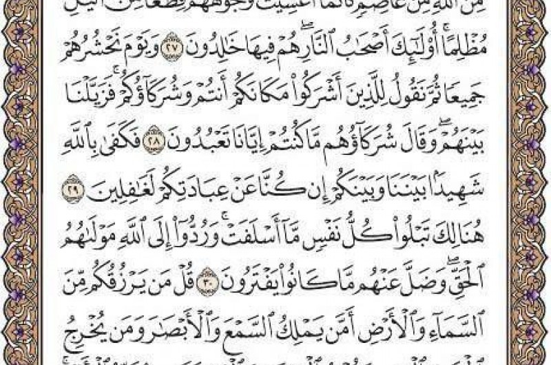 هر روز صبح خود را با یک صفحه از قرآن کریم شروع کنید