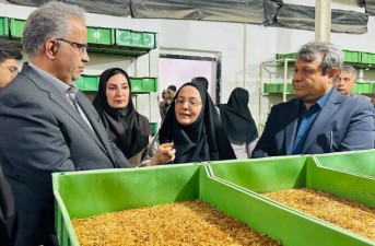 پرورش میل‌ورم ظرفیت مناسب اشغالزایی روستایی
