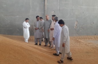 ارزیابی فرآیند گندم و توسعه