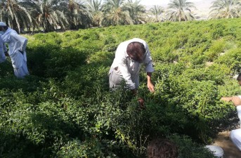 همدلی کوچک، تغییر بزرگ در زندگی روستای کارواندر