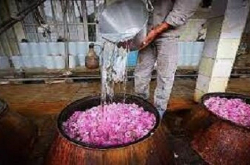 گلاب تفتان، جلوه‌ای از میراث‌فرهنگی و فرصت اقتصادی بی‌نظیر