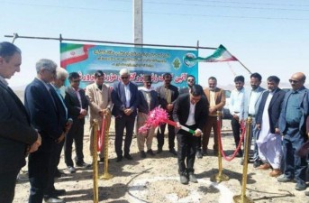 بزرگ‌ترین مزرعه مرغ گوشتی شمال سیستان