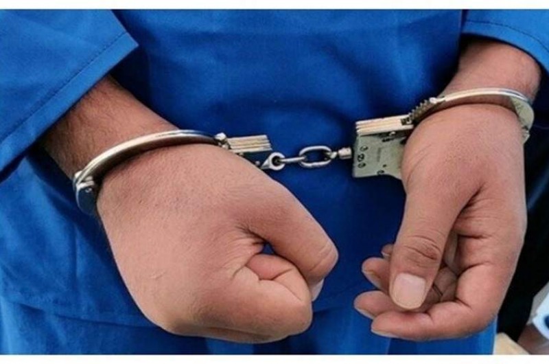 دستگیری سارقان حرفه‌ای منازل در زهک