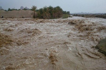 بارش‌ها فرصتی طلایی برای احیای منابع طبیعی