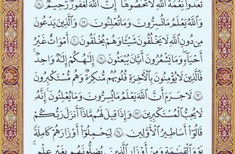 بدون عنوان