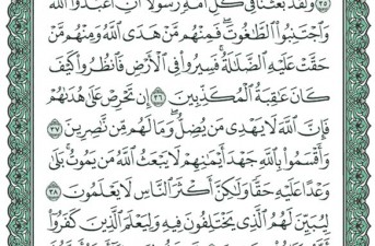 شروع صبح با یک صفحه از قرآن