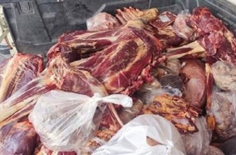 معدوم‌سازی ۸۵۰ کیلوگرم گوشت فاسد در زاهدان