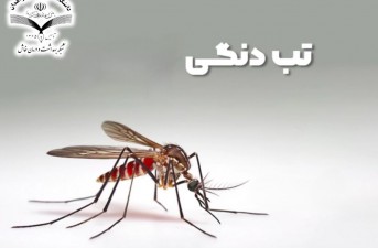 شناسایی مورد تب دنگی وارداتی با منشأ چابهار در خاش