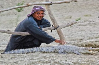 هشدار چابهار درباره افزایش تهاجم گاندوها در زادآوری