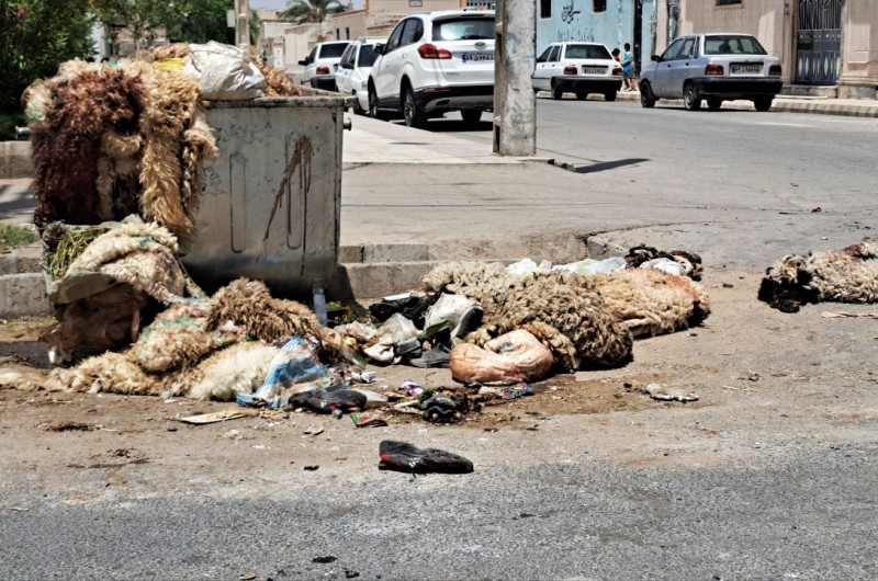 جمع‌آوری ۳۰ هزار پوست دام در عید قربان