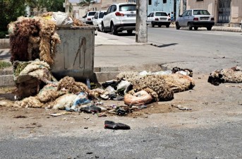 جمع‌آوری ۳۰ هزار پوست دام در عید قربان